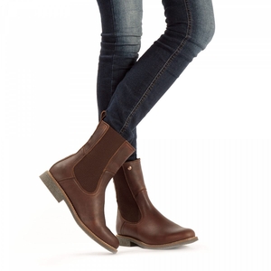 Bottines Chelsea Panama Jack Gaia Igloo Doublure en peau de mouton Marron Femme | ZVX-99089427